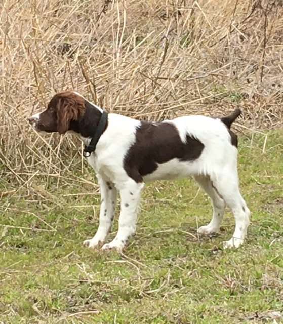 RIVER HAVEN'S CAROLINA COUNTRY GIRL